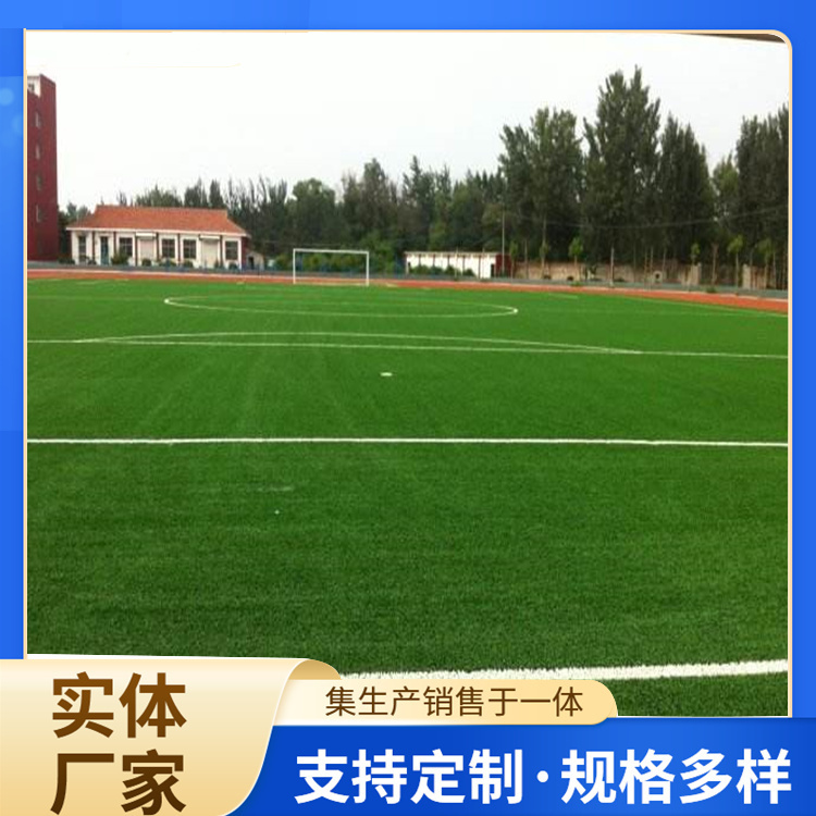 鹤壁市塑胶跑道人造草坪 - 价格